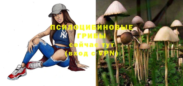 PSILOCYBIN Володарск